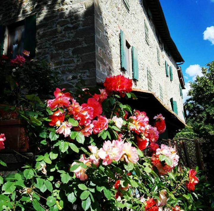 Podere I Rovai-Apt Il Rifugio- In The Heart Of Tuscany Reggello Ngoại thất bức ảnh