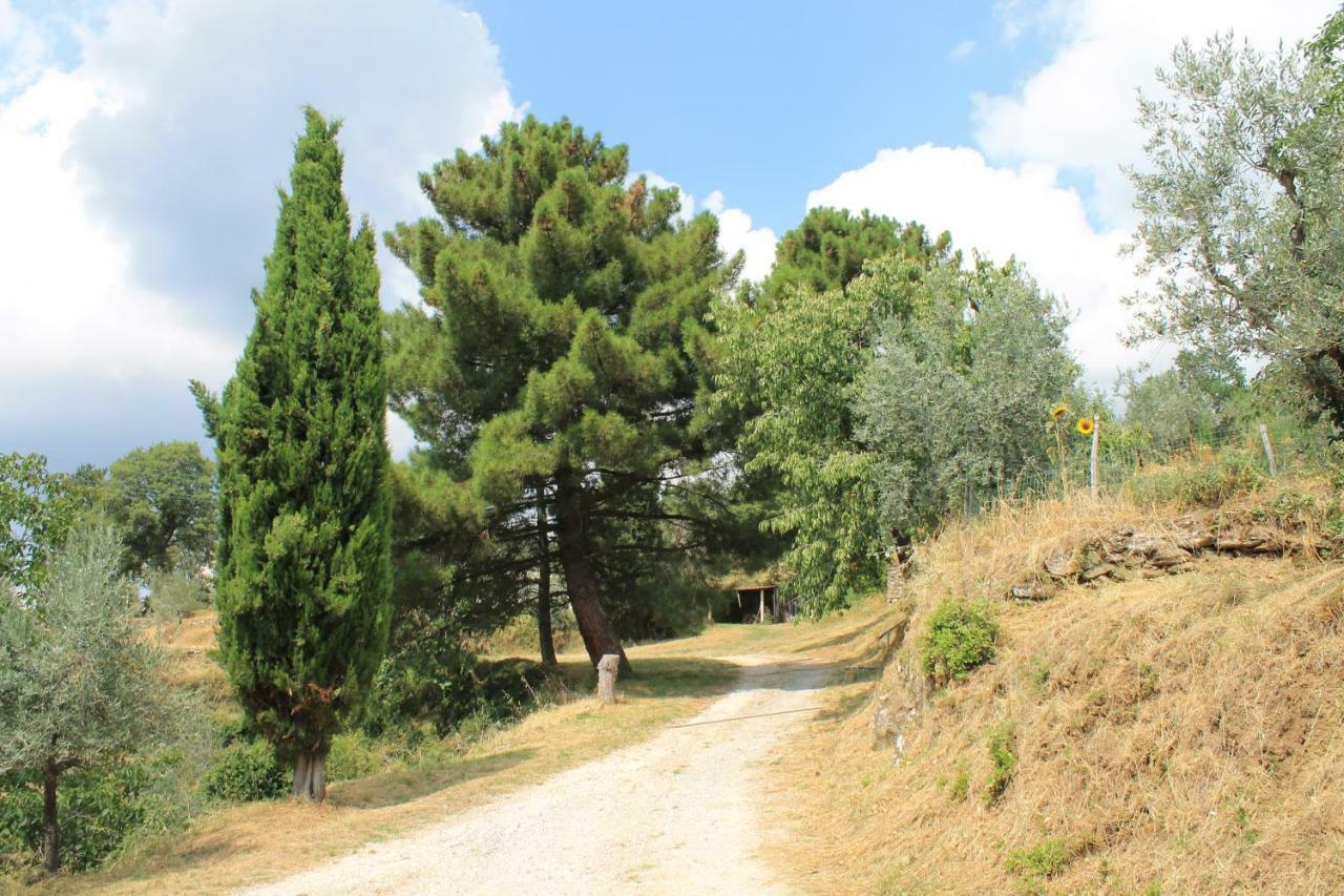 Podere I Rovai-Apt Il Rifugio- In The Heart Of Tuscany Reggello Ngoại thất bức ảnh