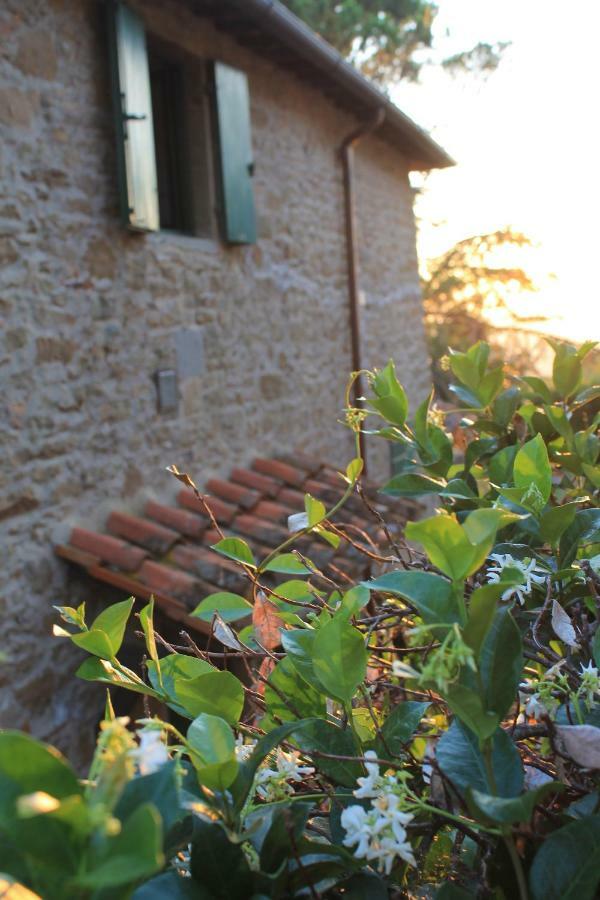 Podere I Rovai-Apt Il Rifugio- In The Heart Of Tuscany Reggello Ngoại thất bức ảnh