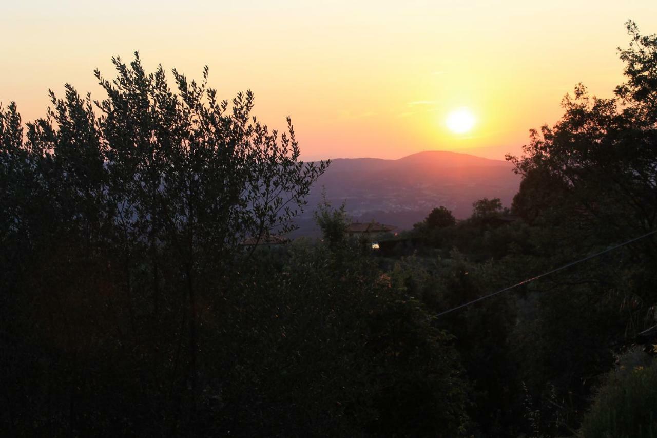 Podere I Rovai-Apt Il Rifugio- In The Heart Of Tuscany Reggello Ngoại thất bức ảnh
