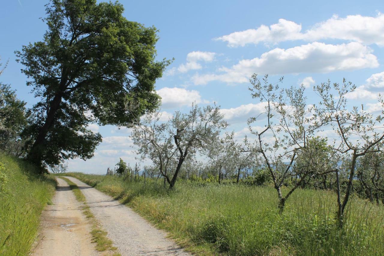 Podere I Rovai-Apt Il Rifugio- In The Heart Of Tuscany Reggello Ngoại thất bức ảnh